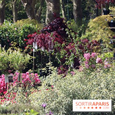 Jardins en Seine 2017