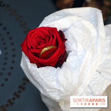 The Magnifique Family, le Petit Prince au Sofitel Le Faubourg