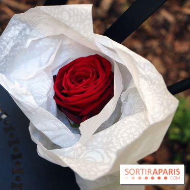 The Magnifique Family, le Petit Prince au Sofitel Le Faubourg