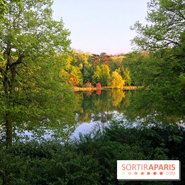 Les Paillotes des Etangs de Corot