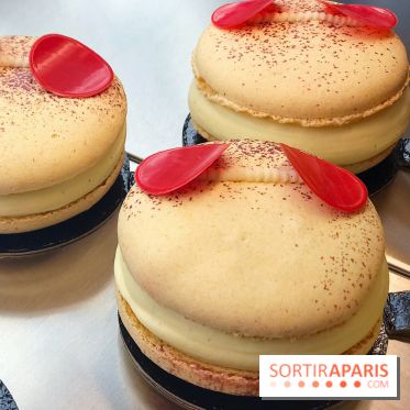 Sitron, le Coffee Shop-Pâtisserie sans gluten