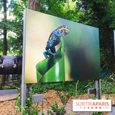 GoodPlanet au Domaine de Longchamp