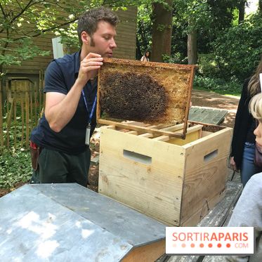 GoodPlanet au Domaine de Longchamp