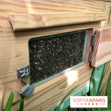 GoodPlanet au Domaine de Longchamp