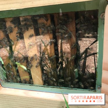 GoodPlanet au Domaine de Longchamp