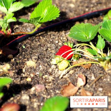 Ground Control 2017 à Paris