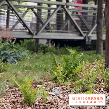 Botany For Change 2017