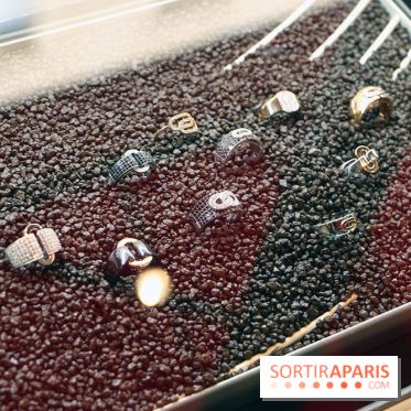 Vente aux Enchères Christian Bernard