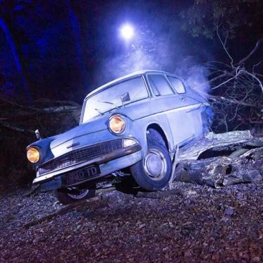 Harry Potter - L’Expérience en Forêt Interdite : l'aventure magique à Montauban... A quand à Paris ?