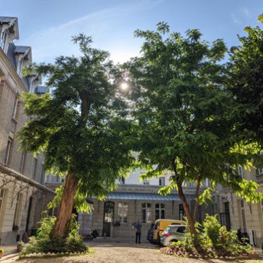 Journées du Patrimoine 2024 : visite guidée de la Maison Saint-Sulpice