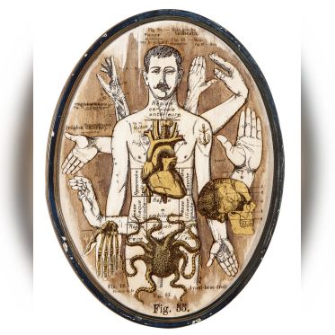 Anatonirisme : l'exposition gratuite entre art et science à la galerie La Lison