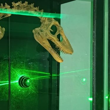 T.Rex Mission : l'escape game avec plein de dinosaures chez Escape Lab
