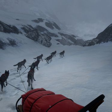 WILL : Follow the Light, un jeu narratif entre énigmes et exploration