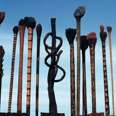 Saison France-Brésil 2025 : exposition Le Cri pour la Planète à l'Espace Frans Krajcberg