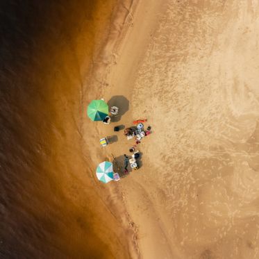 Saison France-Brésil 2025 : ouverture de la Galerie Visit Brasil à l'espace Wilde Le Lieu