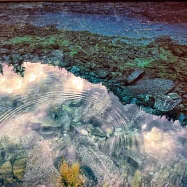 Lumière : l'exposition de Matthieu Ricard à la galerie Françoise Livinec