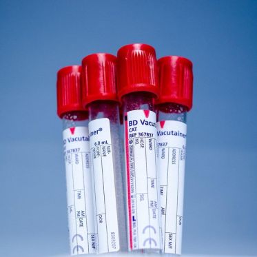 Don du Sang dans le Val d'Oise (95) : Les dates des collectes dans le département en janvier 2026