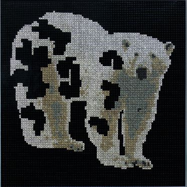 Espèces Menacées, l’exposition à la galerie Accueil de Montreuil