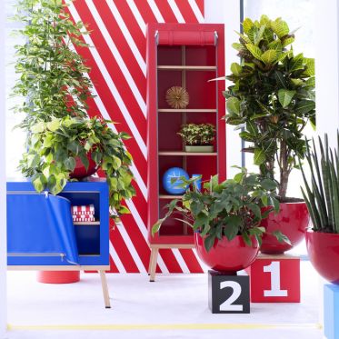 The Green Happiness, l'afterwork cosmétique pour les hommes qui aiment les plantes vertes