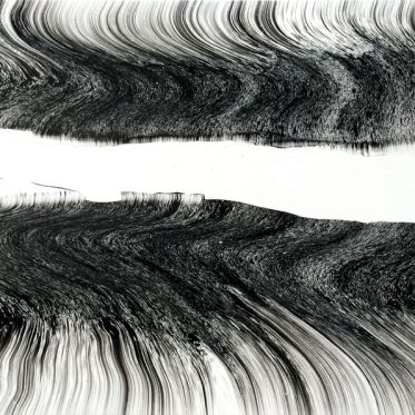 De Natura, l'exposition de Silvère Jarrosson à la Vanities Gallery