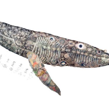 Carte blanche à Maki Ohkojima à l'Aquarium de Paris