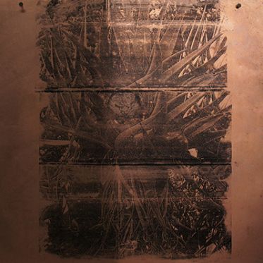 Exposition Eve Pietruschi à l'Hôtel Napoléon