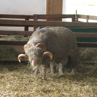 Le guide des Zoos et ménageries à Paris et ses alentours