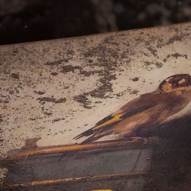 Le Chardonneret : bande-annonce