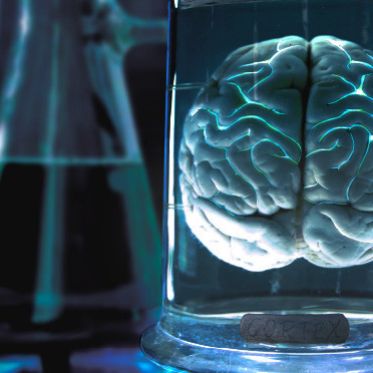 Opération Cortex, l'escape game de l'INSERM à l'Institut de psychiatrie et de neurosciences