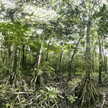 Grandeur Nature, l'exposition photo sur le Toit de la Grande Arche