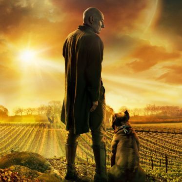 Coronavirus : le top des nouvelles séries à voir absolument