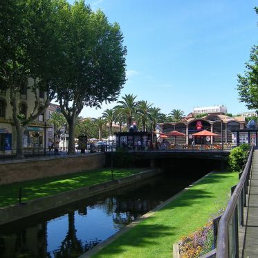 Municipales 2020 : Louis Alliot élu à Perpignan