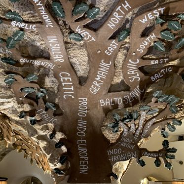 Mundolingua, le musée insolite des langues, du langage et de la linguistique rouvre ses portes