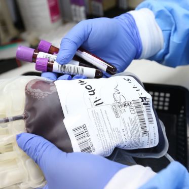 Don du sang : bientôt la fin de la discrimination pour les homosexuels et bisexuels