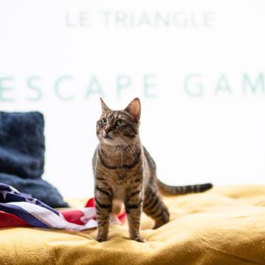 Le Triangle, l'enseigne d'escape game immersif à deux pas d'Opéra