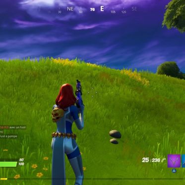Fortnite : comment débloquer Mystique ? Le guide des défis