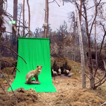 Freedom os sleep, l’exposition d’Anabelle Lacroix à la Fondation Fiminco
