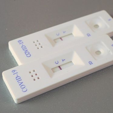 Covid : un test sérologique peu couteux mis au point par un chercheur toulousain