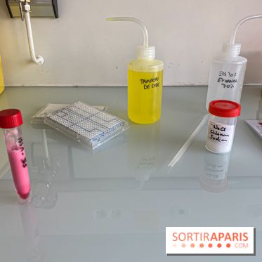 Escape Gènes, l'escape game qui sensibilise à la recherche génétique à l'Institut Imagine