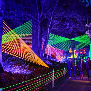 Illuminations de Noël 2022 au Parc Floral, le Sentier Lumineux de Noël