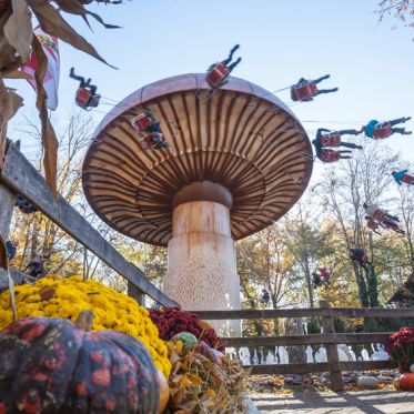 Halloween 2022 à Europa Park