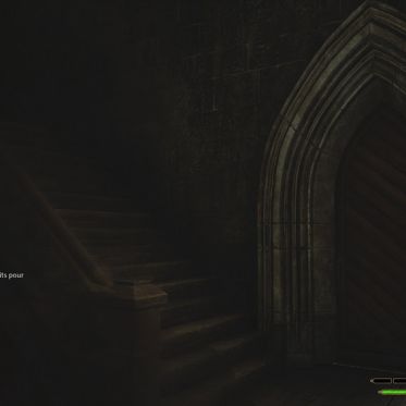 Hogwarts Legacy : comment accéder aux trois zones secrètes à Poudlard ?