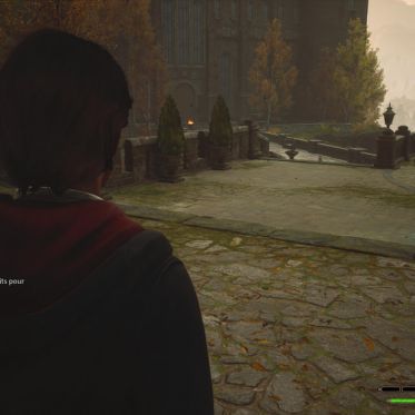 Hogwarts Legacy : comment accéder aux trois zones secrètes à Poudlard ?