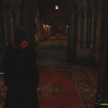 Hogwarts Legacy : nos astuces pour trouver les statues de Demiguise pour les 3 niveaux d'Alohomora