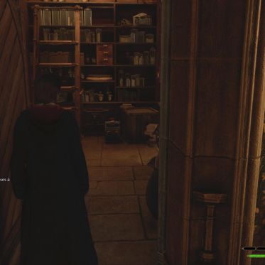 Hogwarts Legacy : nos astuces pour trouver les statues de Demiguise pour les 3 niveaux d'Alohomora