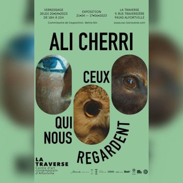 Nuit Blanche 2023 à Alfortville (94) : Ali Cherri s'expose au Centre d'Art Contemporain La Traverse