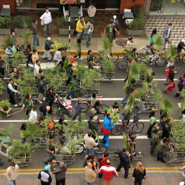 Nuit Blanche 2023 : grande marche végétale et festive à Vitre-sur-Seine (94)