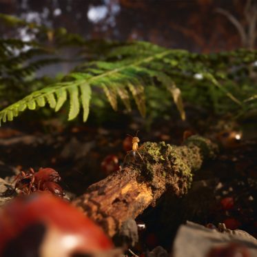 Les Fourmis : Microids dévoile son jeu vidéo inspiré du best-seller de Bernard Werber