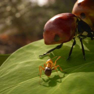 Les Fourmis : Microids dévoile son jeu vidéo inspiré du best-seller de Bernard Werber