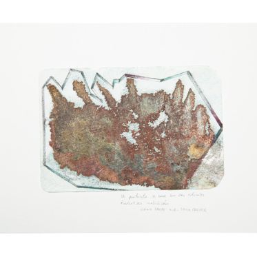 Exposition Noémie Sauve au Drawing Lab : Admiratio